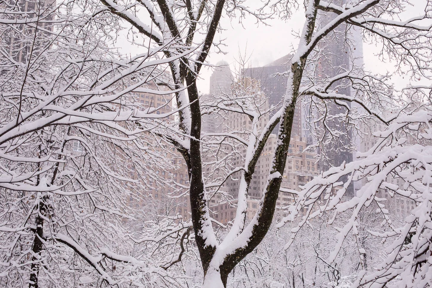 New York City, Central Park