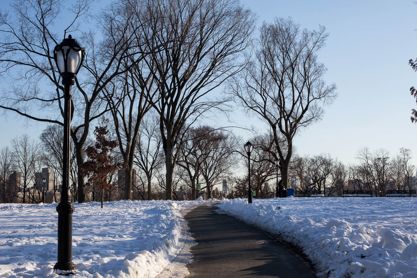  New York City, Central Park 