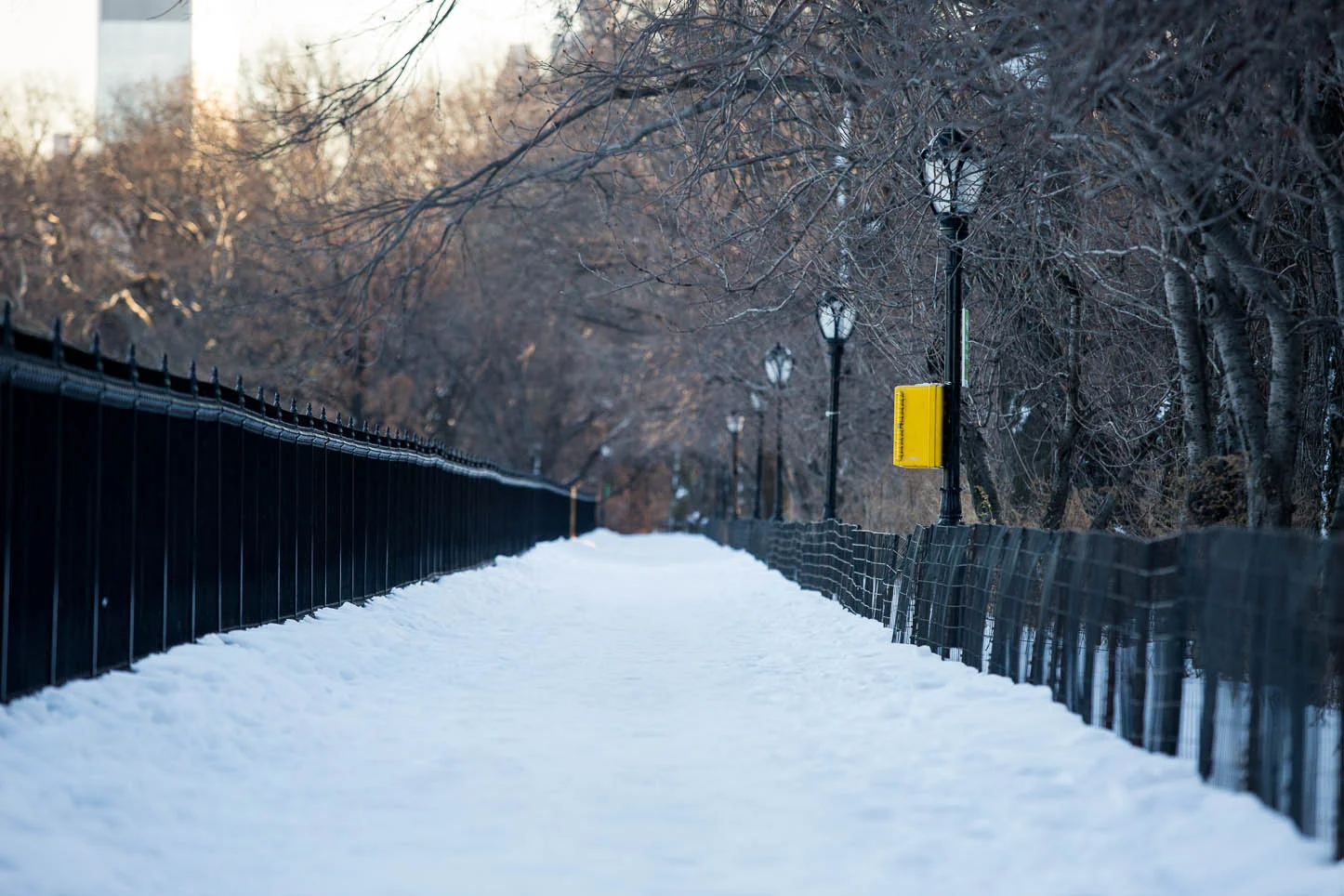 New York City, Central Park