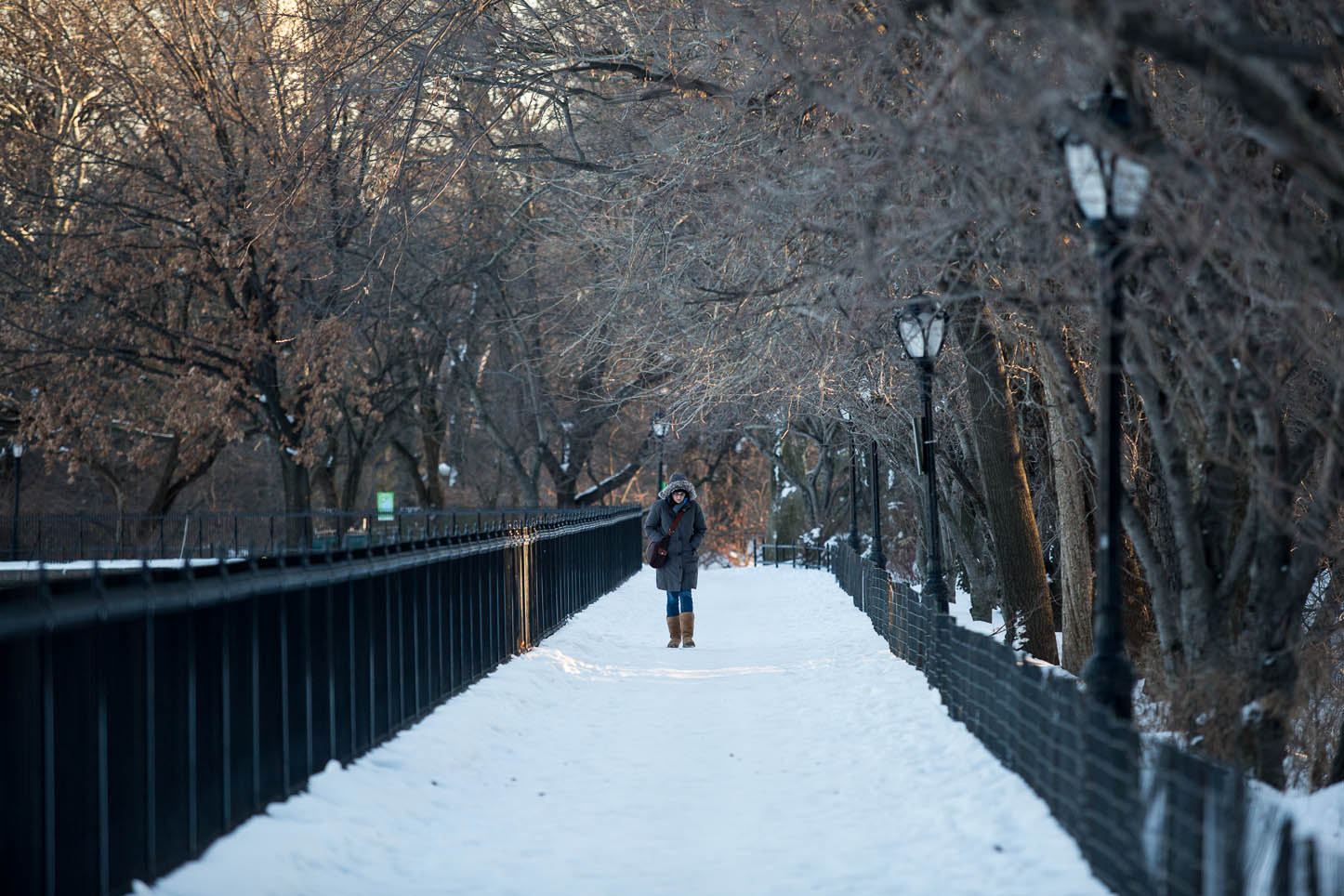 New York City, Central Park