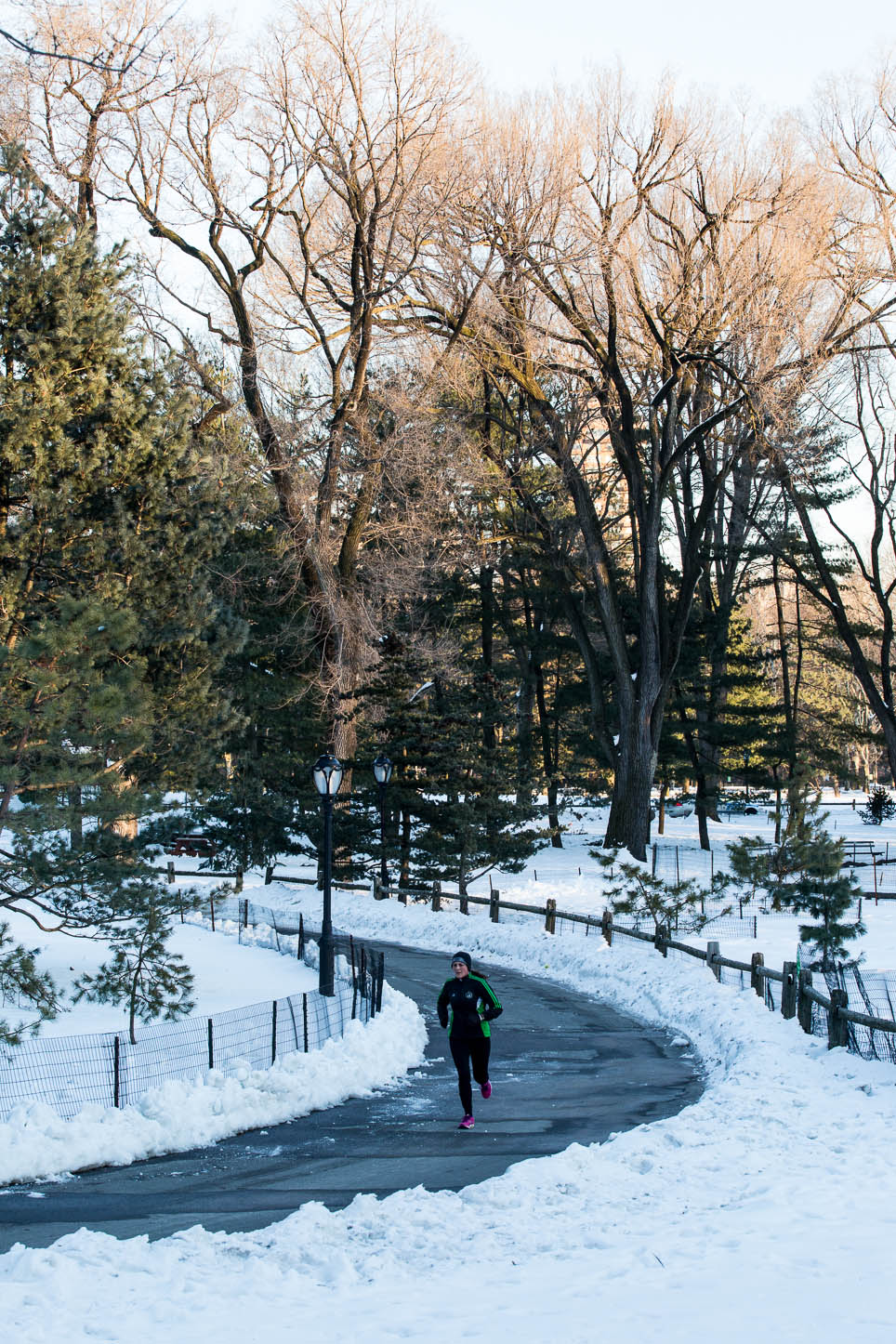  New York City, Central Park 