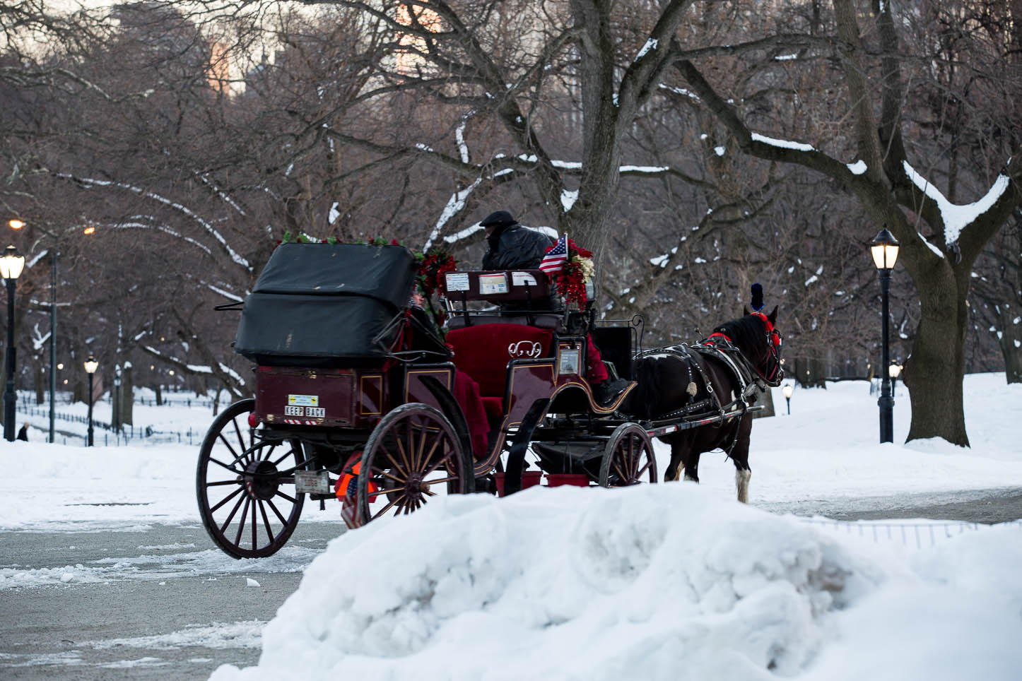  New York City, Central Park 