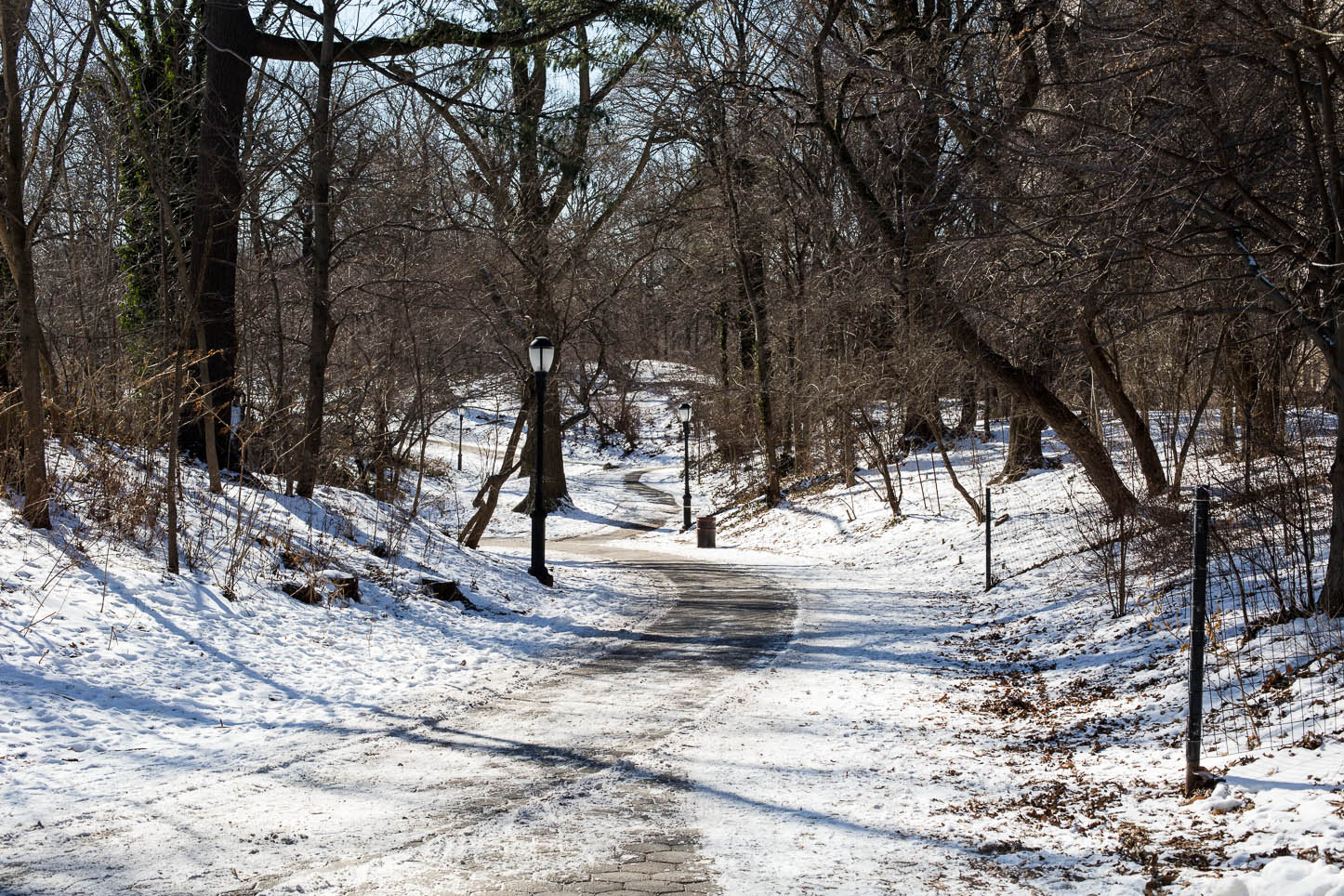 New York City, Prospect Park