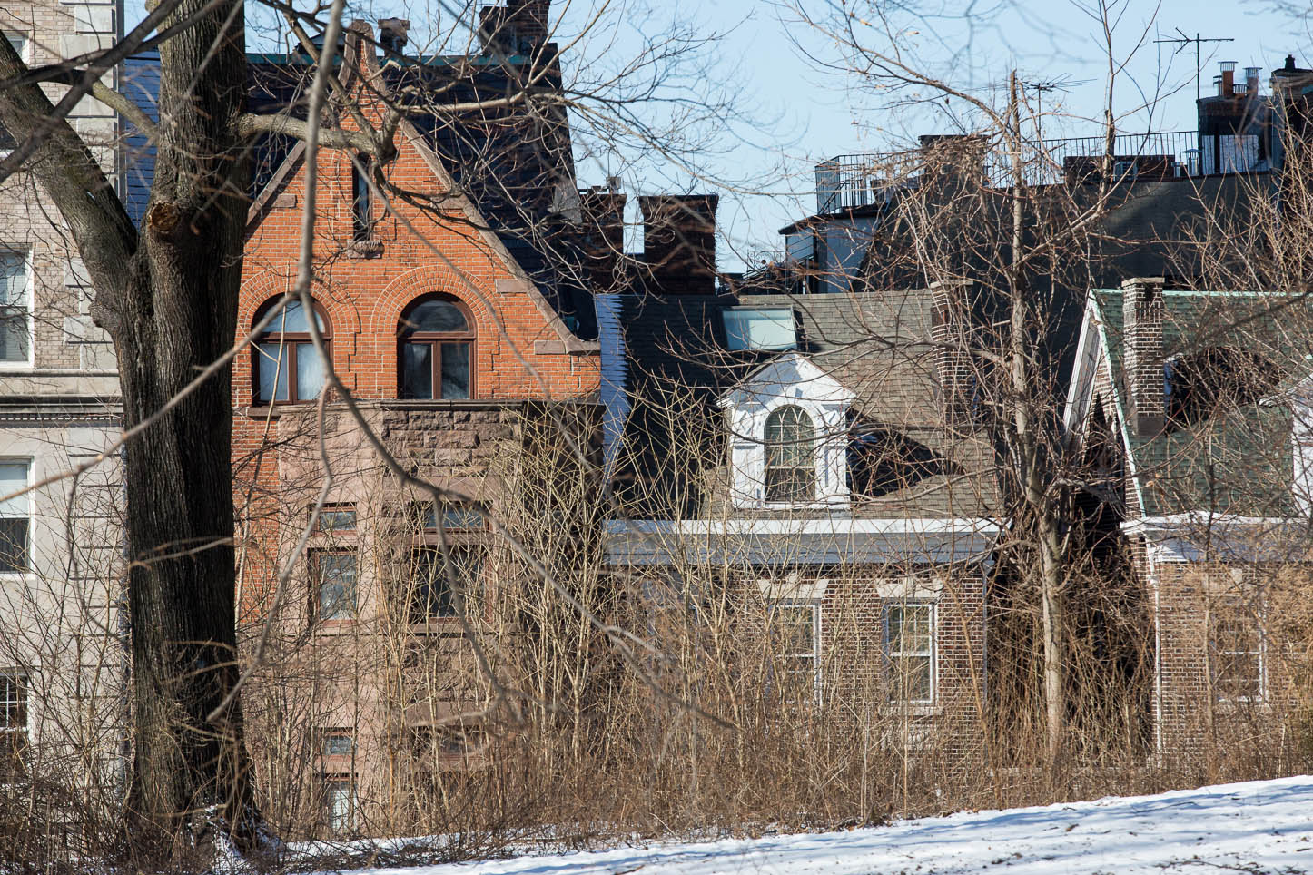  New York City, Prospect Park 