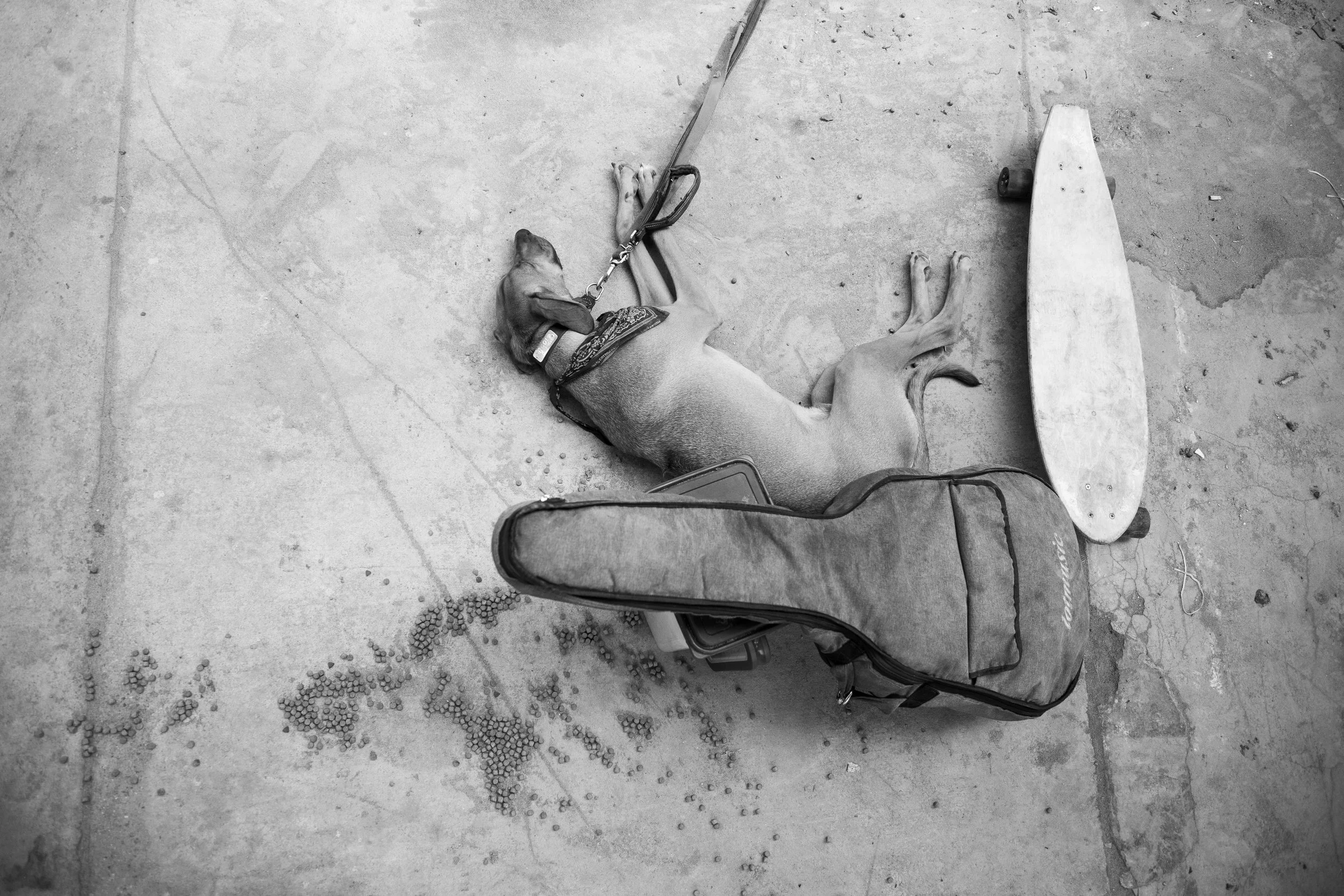 OB 10-AK2_5673_1.JPG