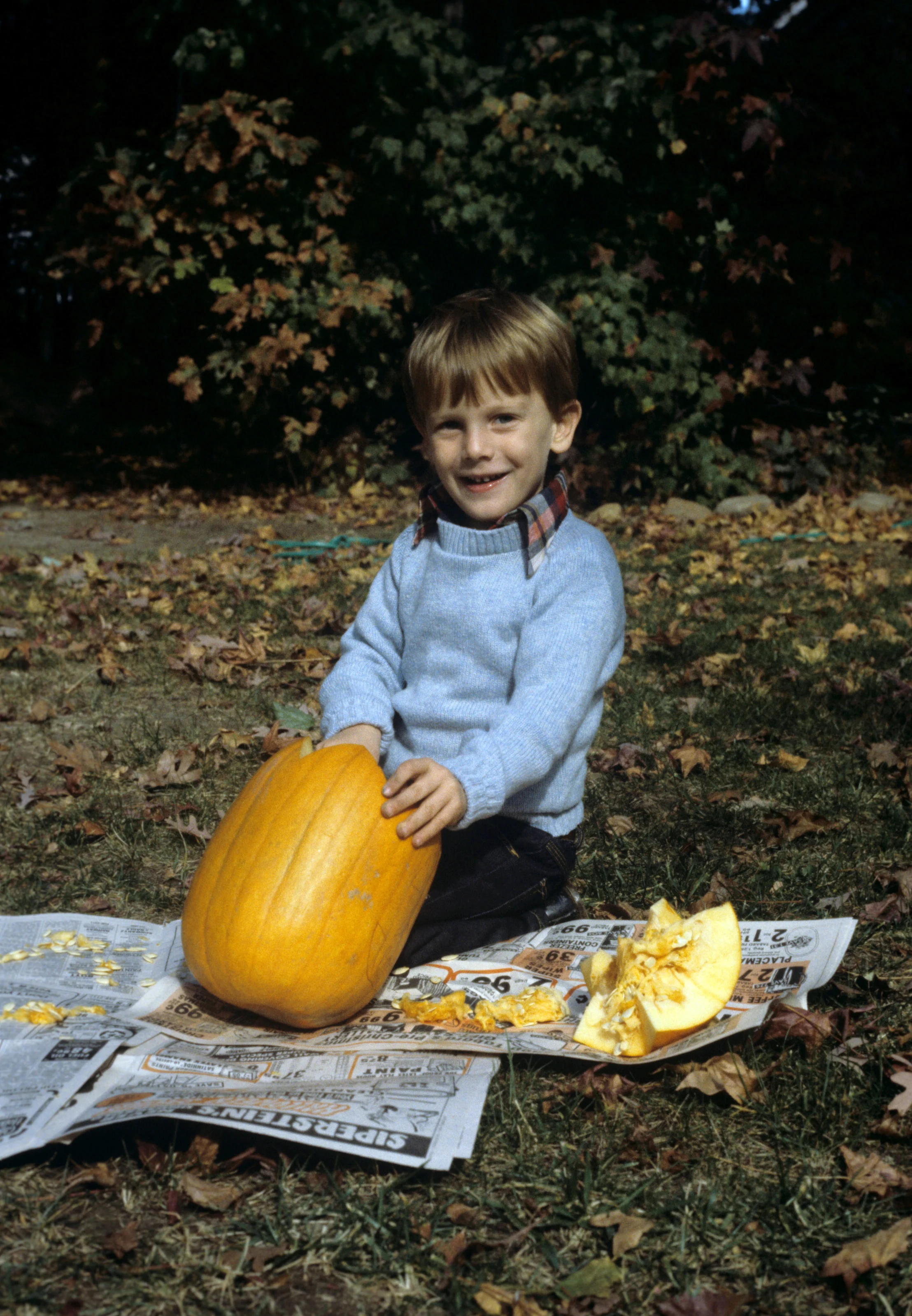 8 Jamie pumpkin.jpg