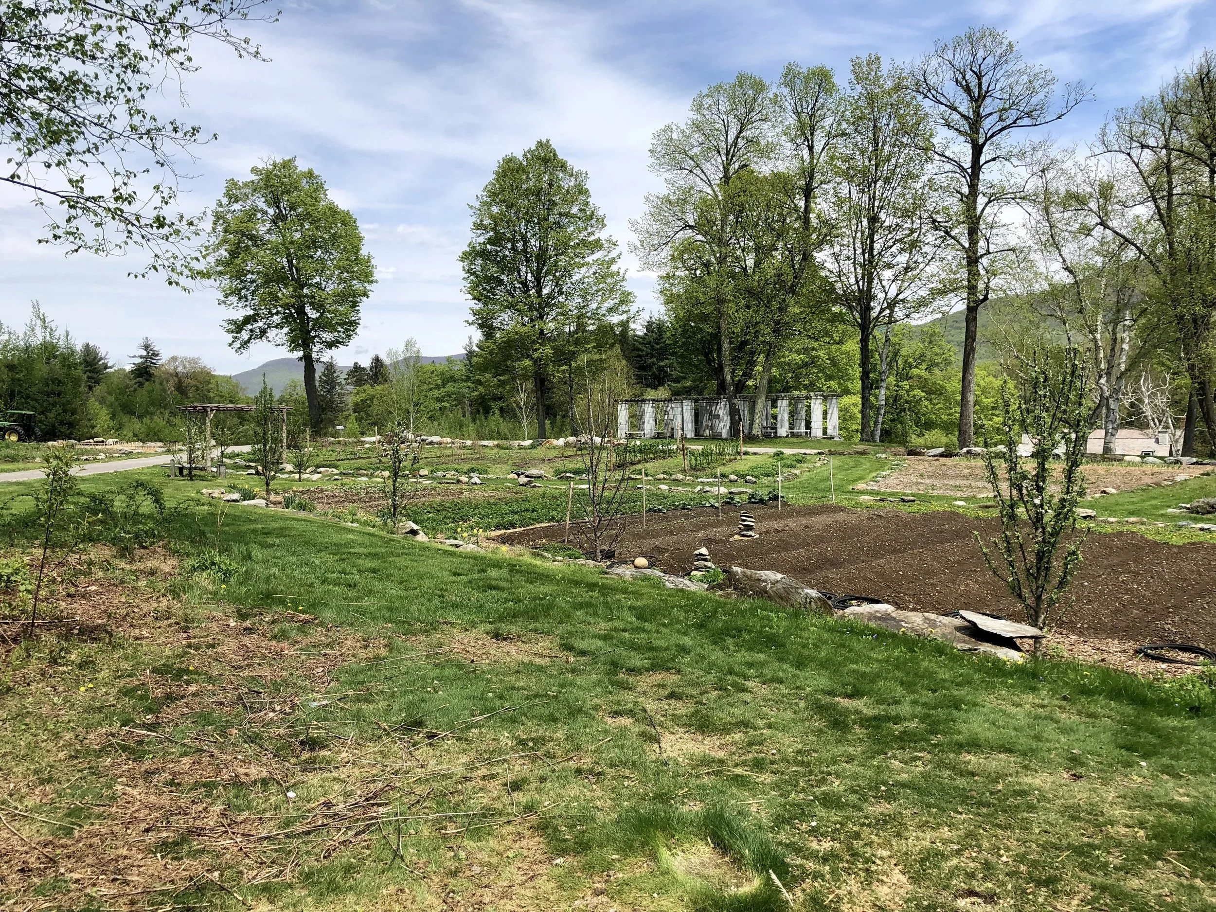 The garden.jpg