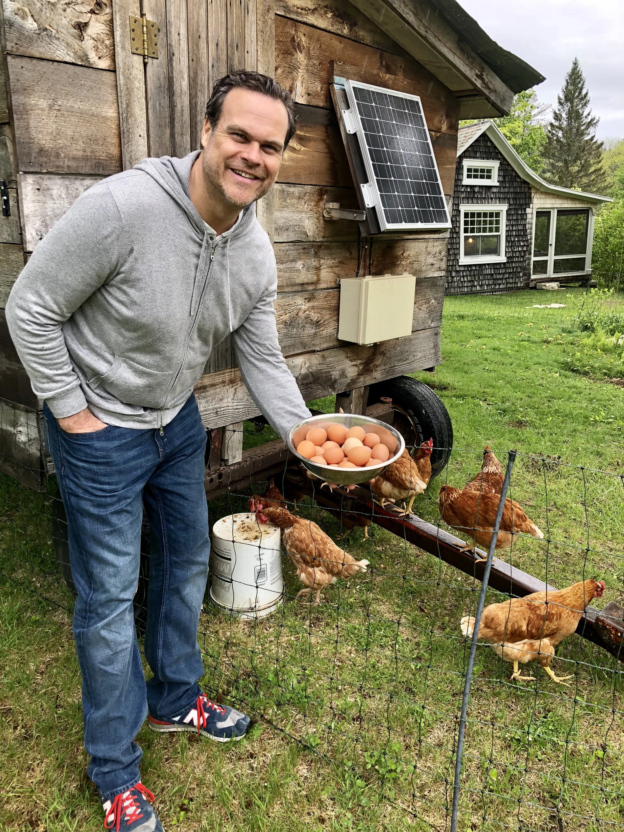 My husband collecting freshly laid eggs