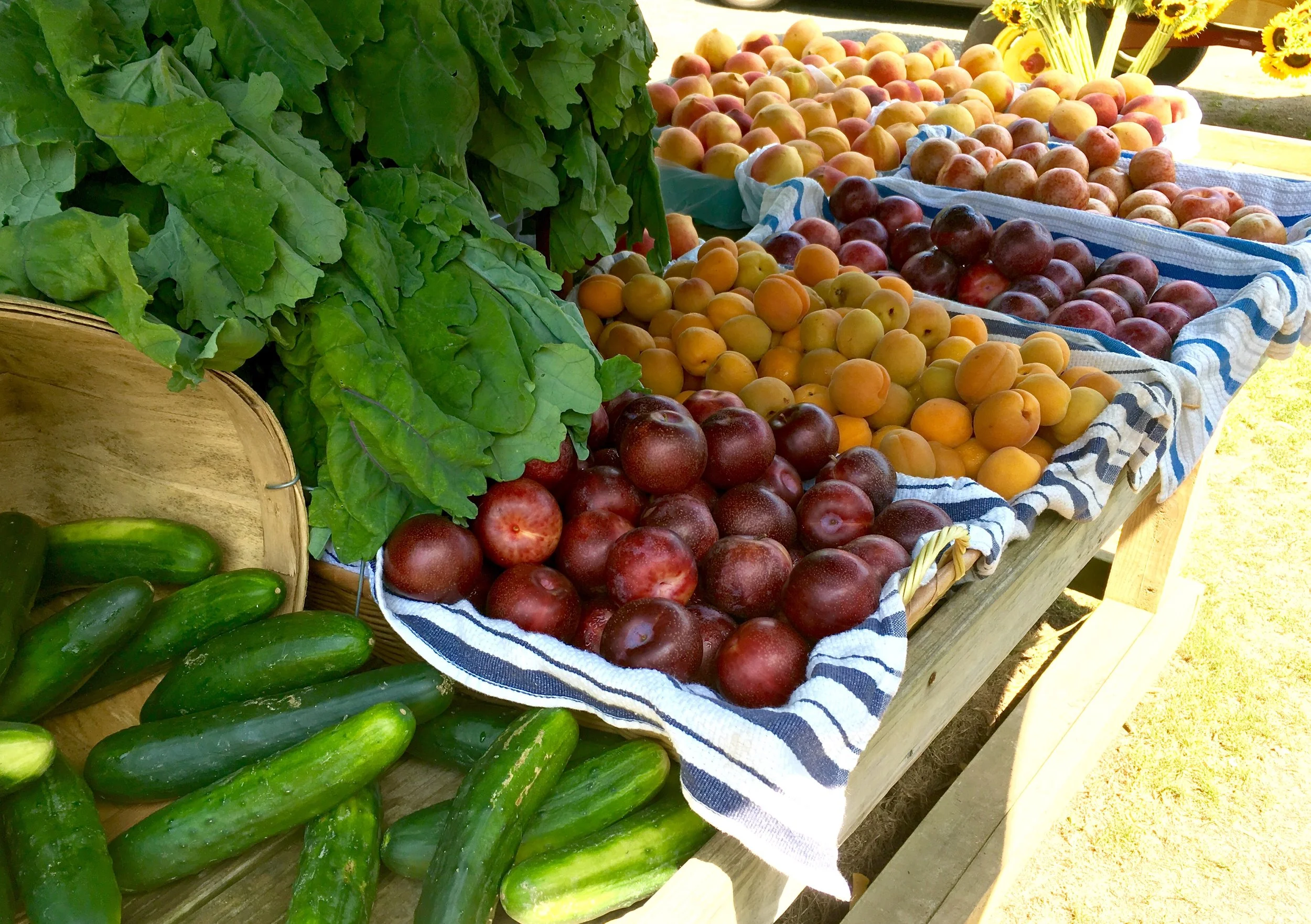 Hamptons FM stone fruit and greens.jpg