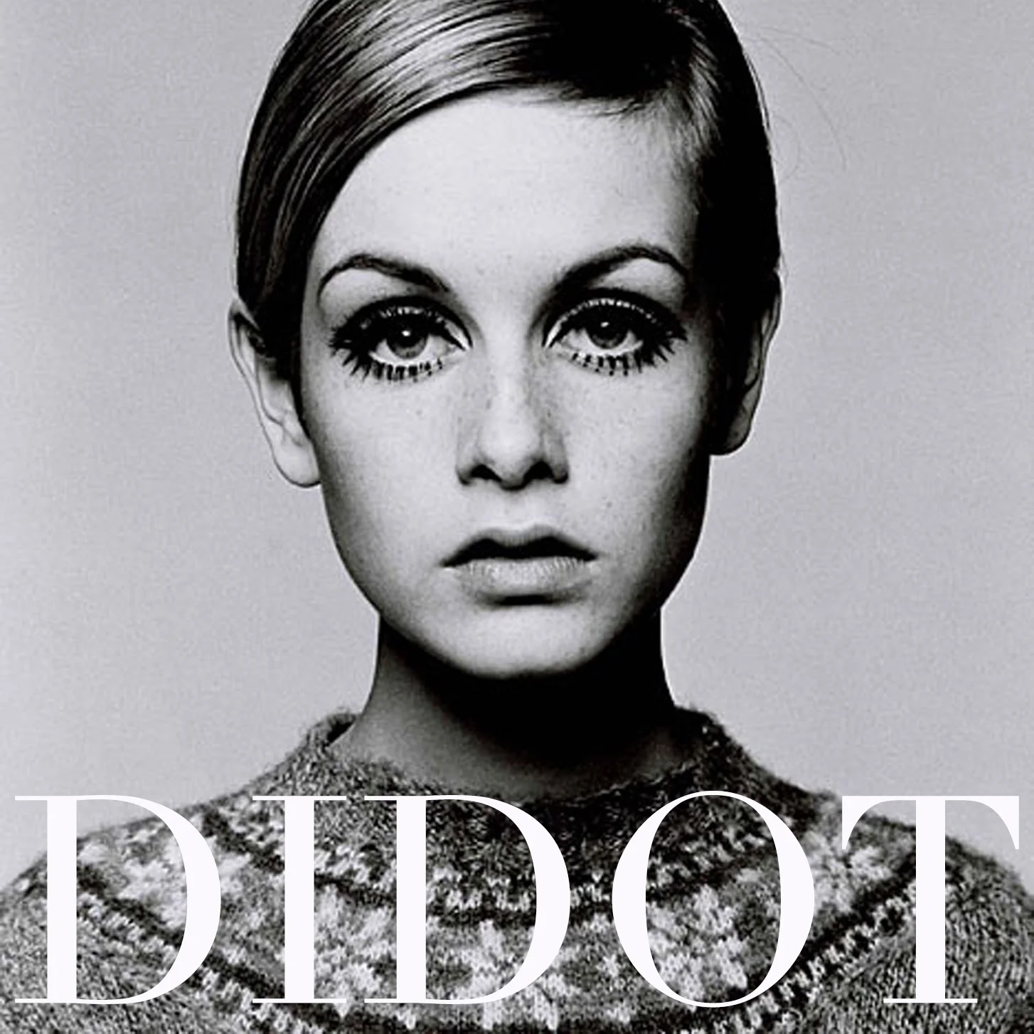 twiggy - didot.jpg
