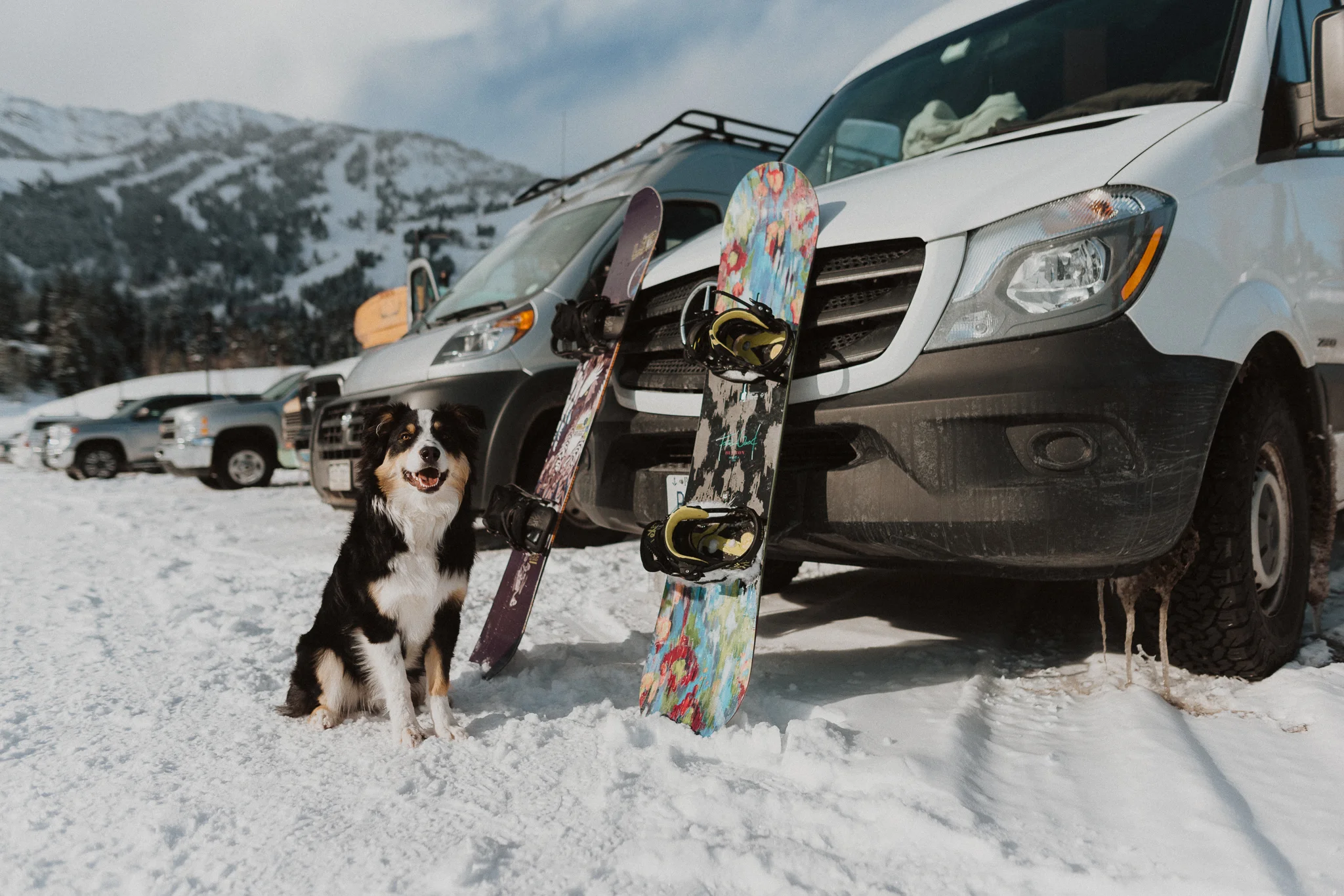 Jackson Hole, Wyoming