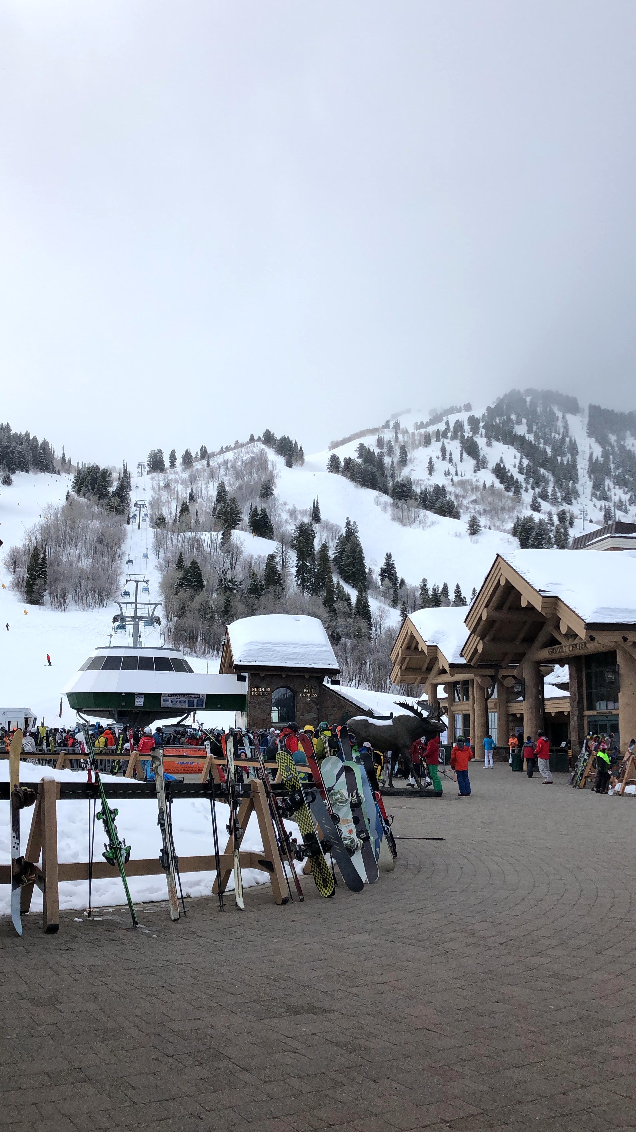 Snowbird