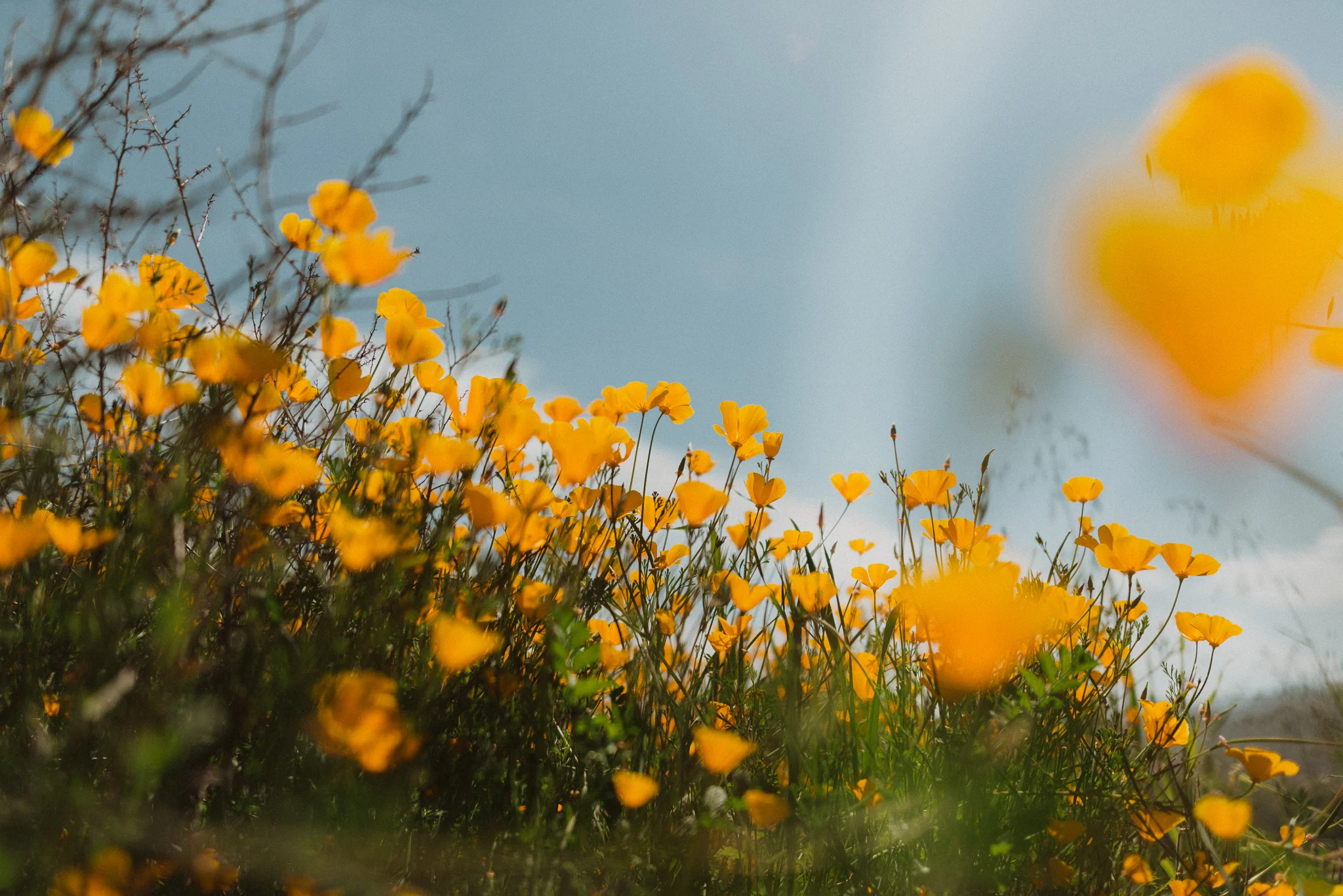 californiaadventurephotographer-6.jpg