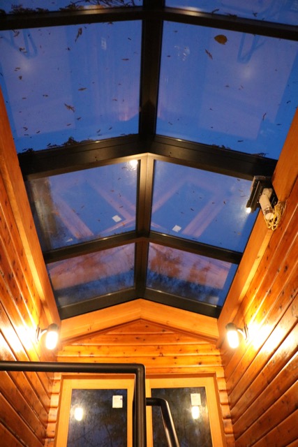 Stunning glass sky lights frame this gorgeous space