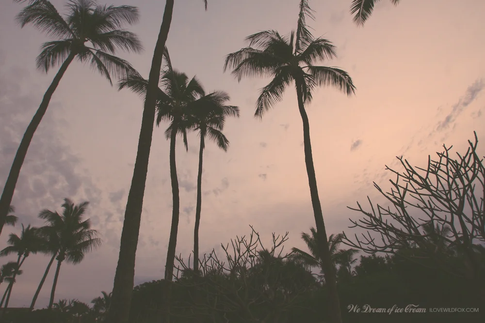 THE_CONDO_HAWAII_ICECREAMFOX-14.jpg