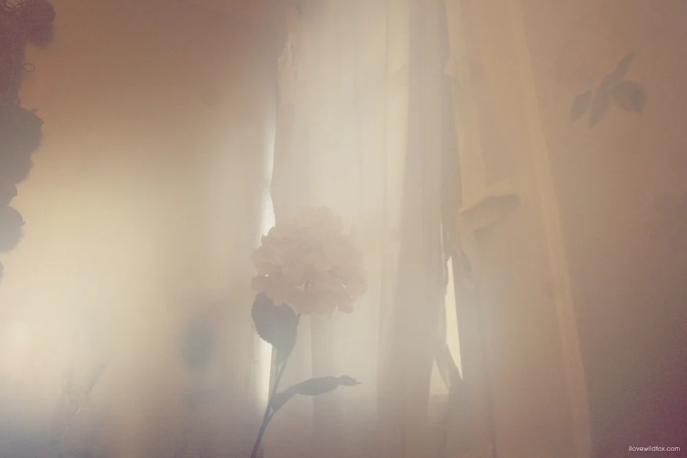 steammirror_ilovewildfox.jpg