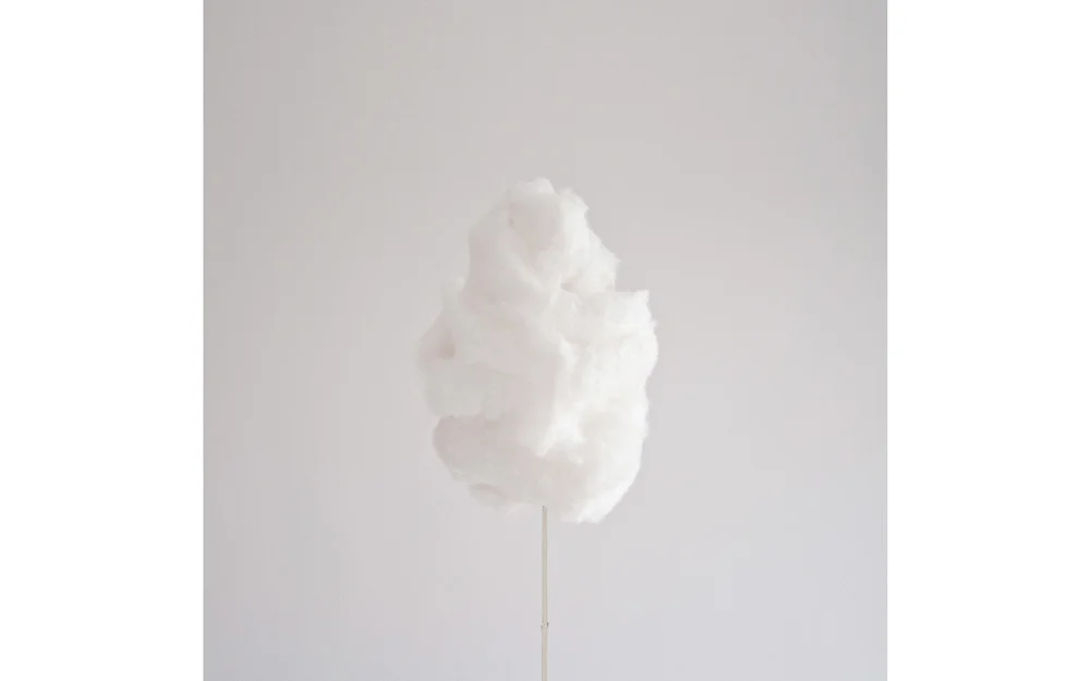 5caa8-dominik_tarabanski_two_sticks_and_a_pear_01.jpg