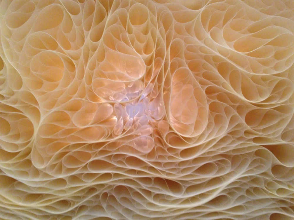 e0c9b-d2b326_4b71c6453b5930e5c50edd9a3fd034ab.jpg