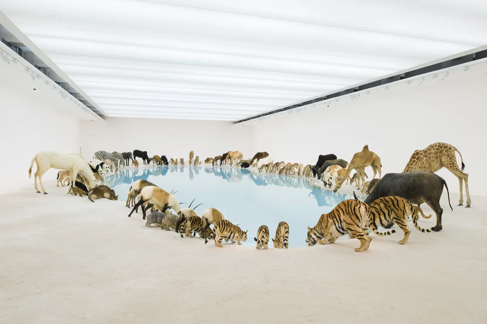 2a8ee-cai-guo-qiang-heritage-wateringhole-99-life-sized-replicas-of-various-animals-water-sand-2013-brisbane-gallery-of-modern-art-1.jpg