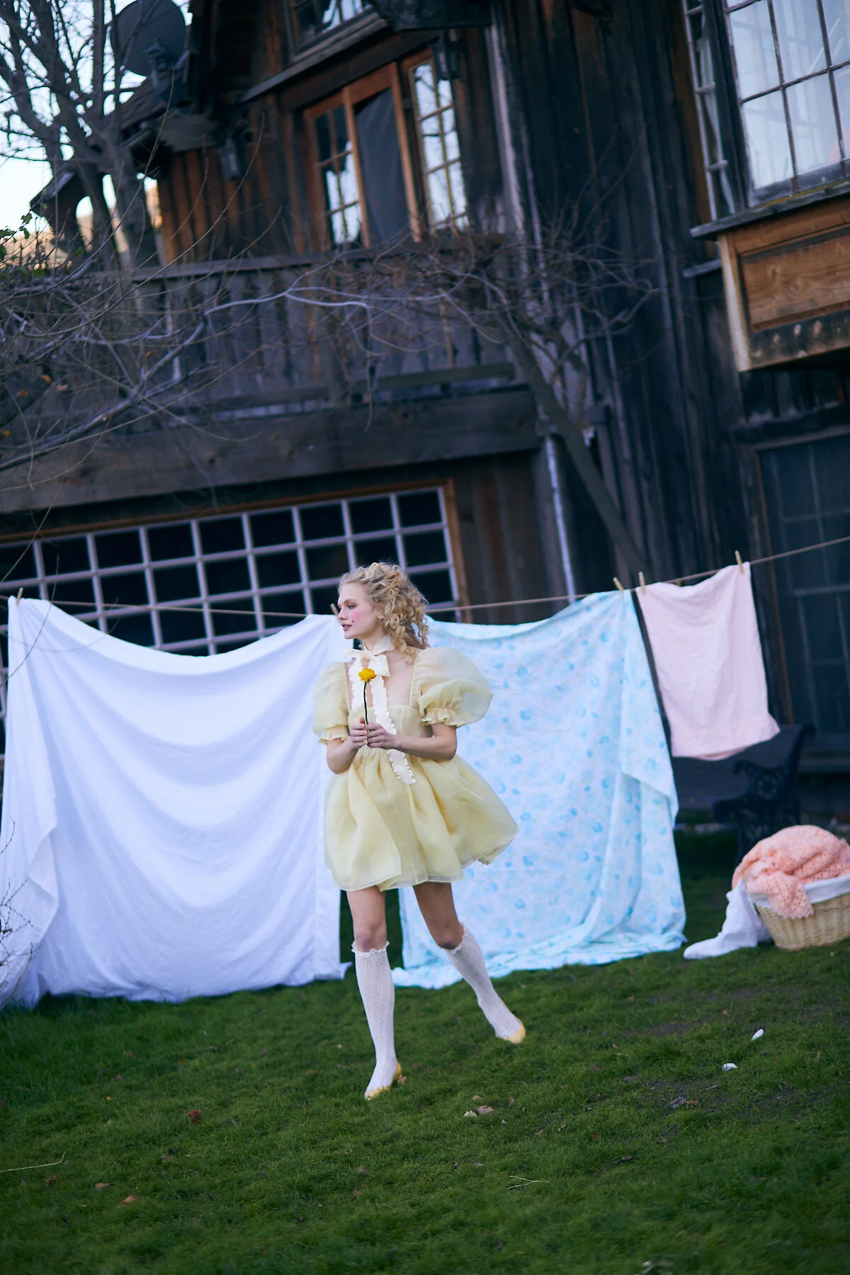 SELKIE VAMP LR 270.jpg