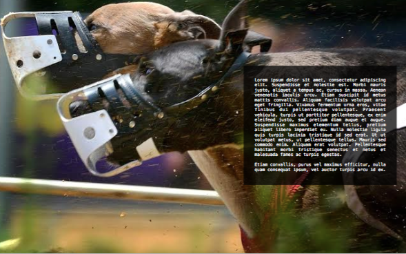 Screen Shot 2016-09-14 at 10.06.18 AM.png