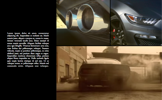 mustangslides005.png