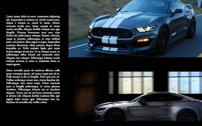 mustangslides007.png