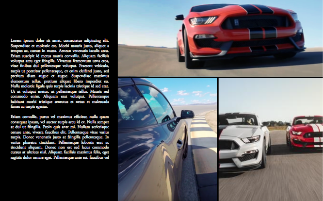 mustangslides011.png
