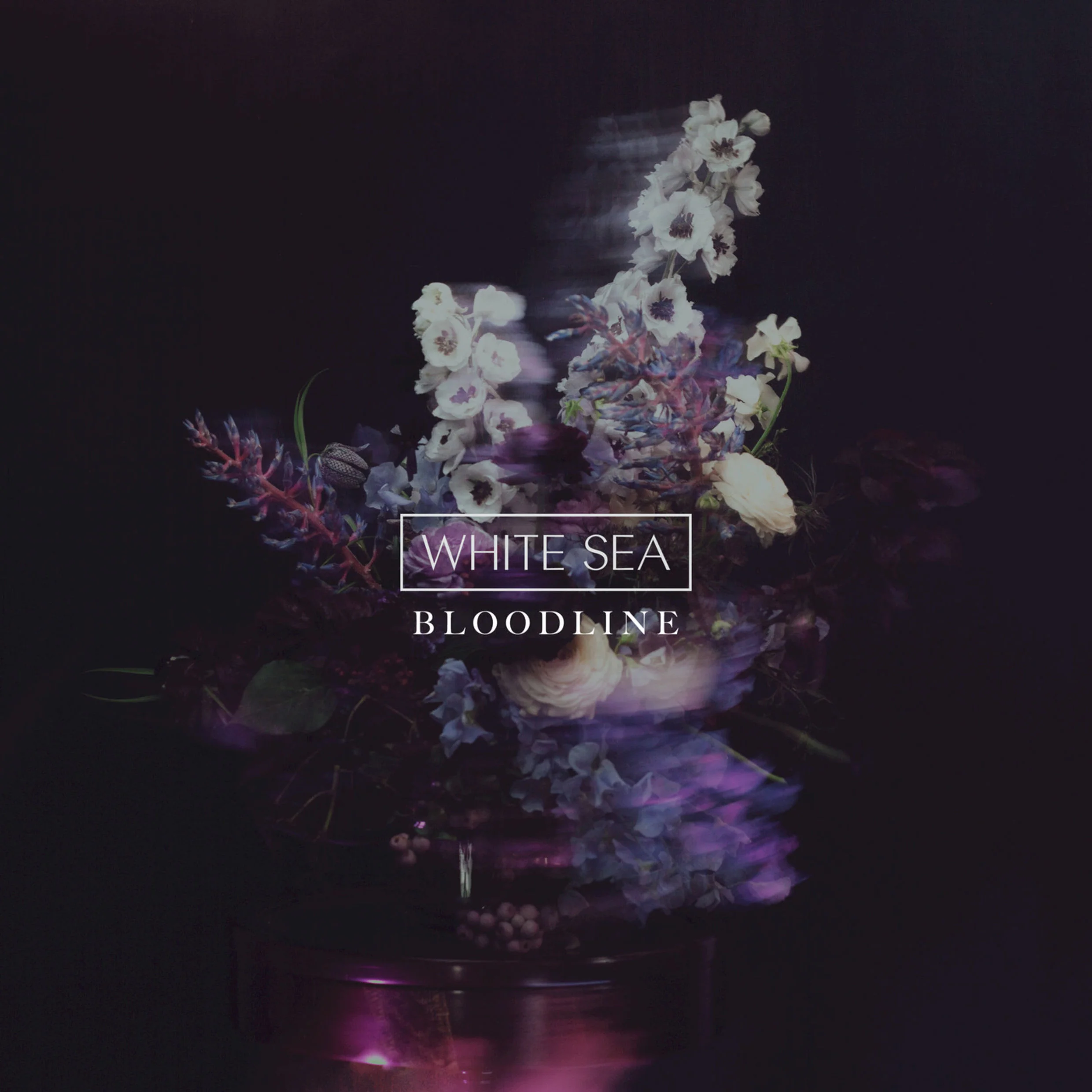 White-Sea-Bloodline-2016-2480x2480.jpg