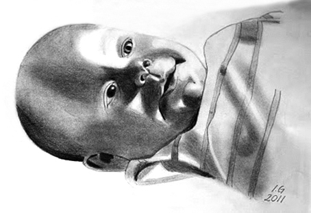  HERMAN. GRAPHITE 2011