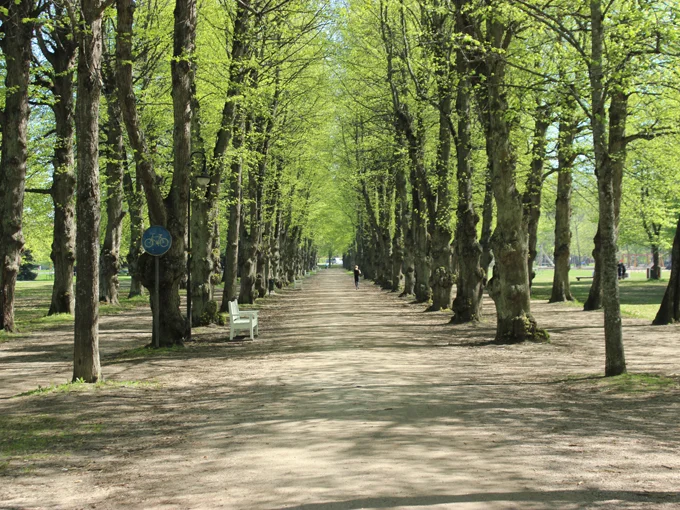 parken_3.jpg