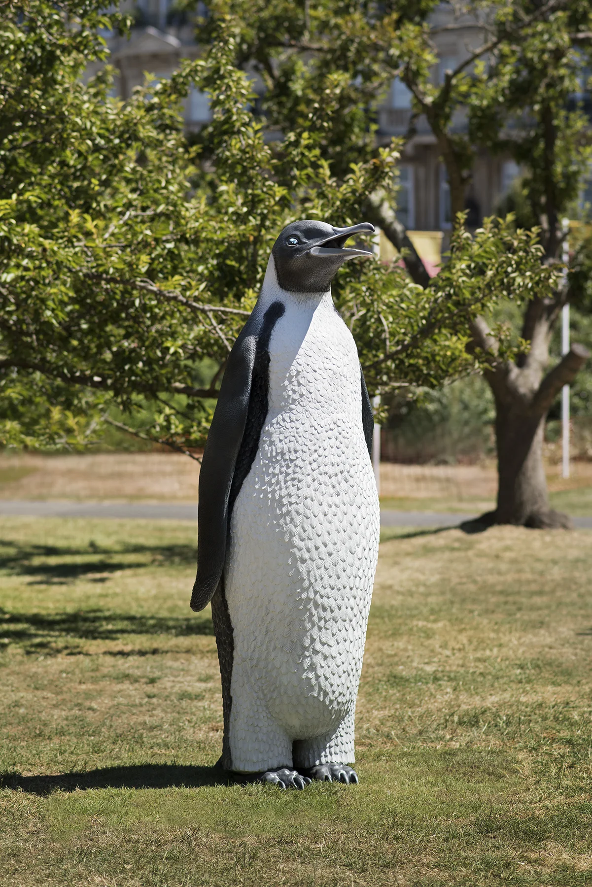 penguin-01.jpg
