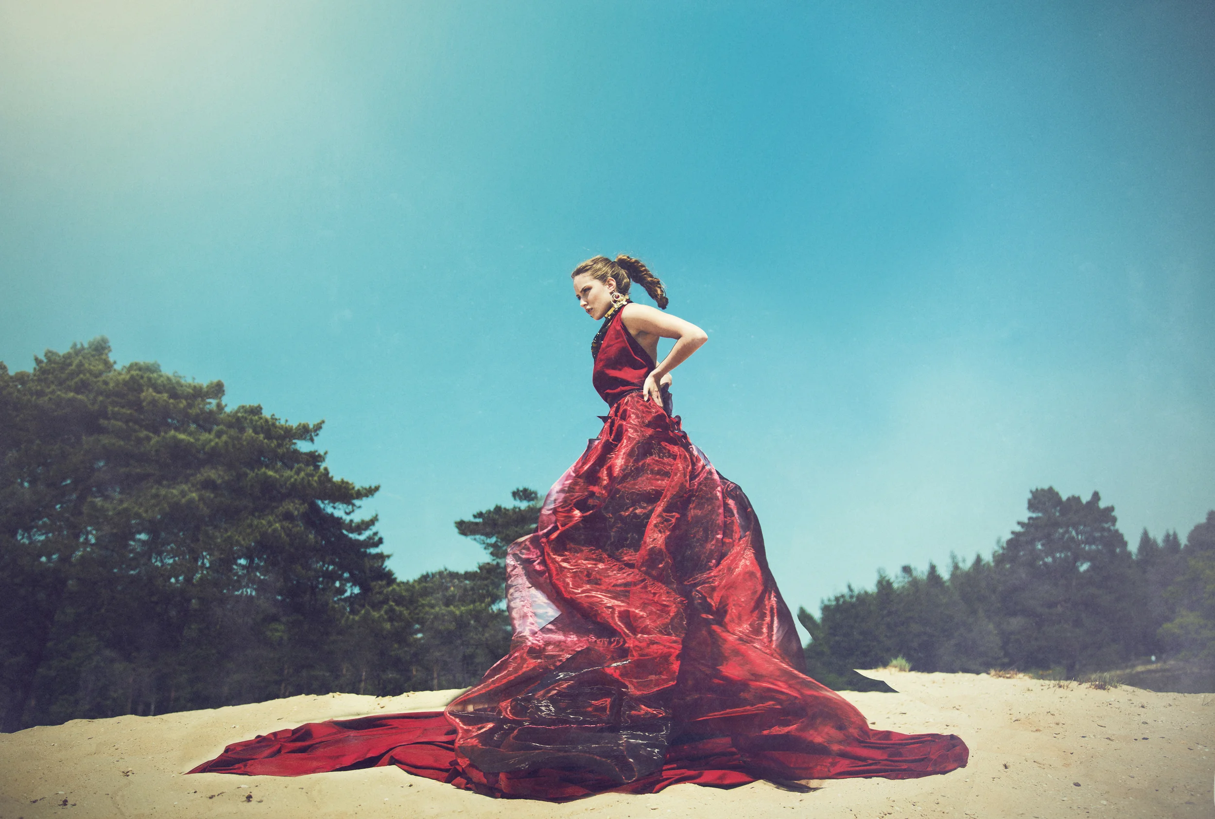 2013 © SarinaGito MODEL: Flory Timmer CONCEPT/PHOTO/RETOUCHING: Sarina Gito DRESS/MAKEUP/STYLING/ASSISTANCE: Gina Malagodi 