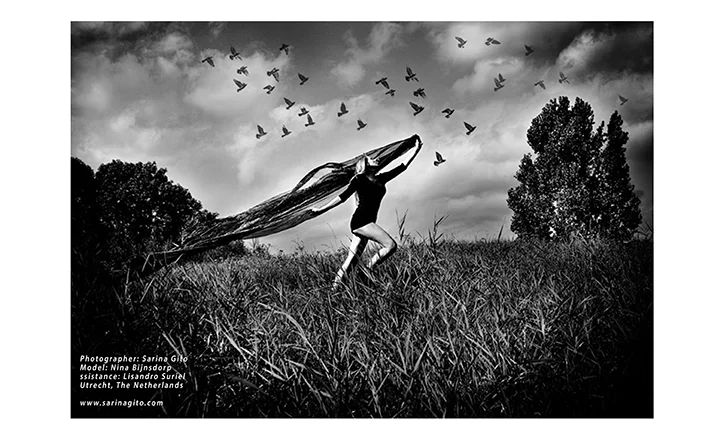 Please do not use my images without my permission. 2014 © SarinaGito