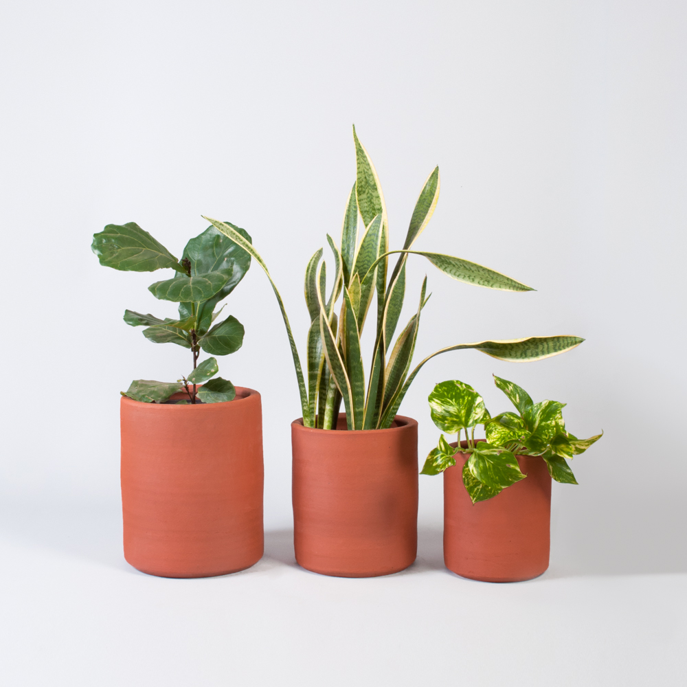 clay pot buy adelaide Cylinder Terracotta Pots — EMMA SADIE THOMSON - EST - Plant Stylist clay pot buy adelaide Cylinder Terracotta Pots — EMMA SADIE THOMSON - EST - Plant Stylist