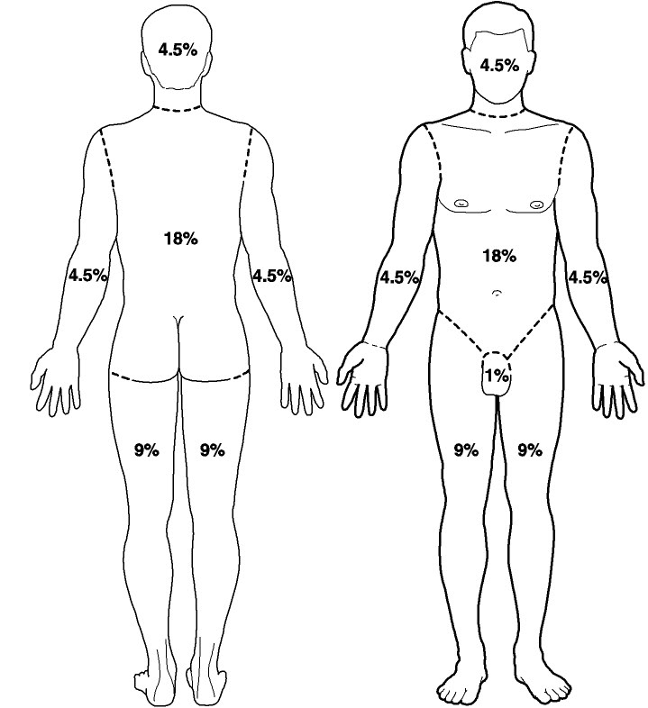As a loose standard, we use the medical burn chart to determine percentage of coverage. Final call always comes down to your local staff member checking it over once you bring it to game, but this is a reliable tool to use when constructing your armor phys rep.