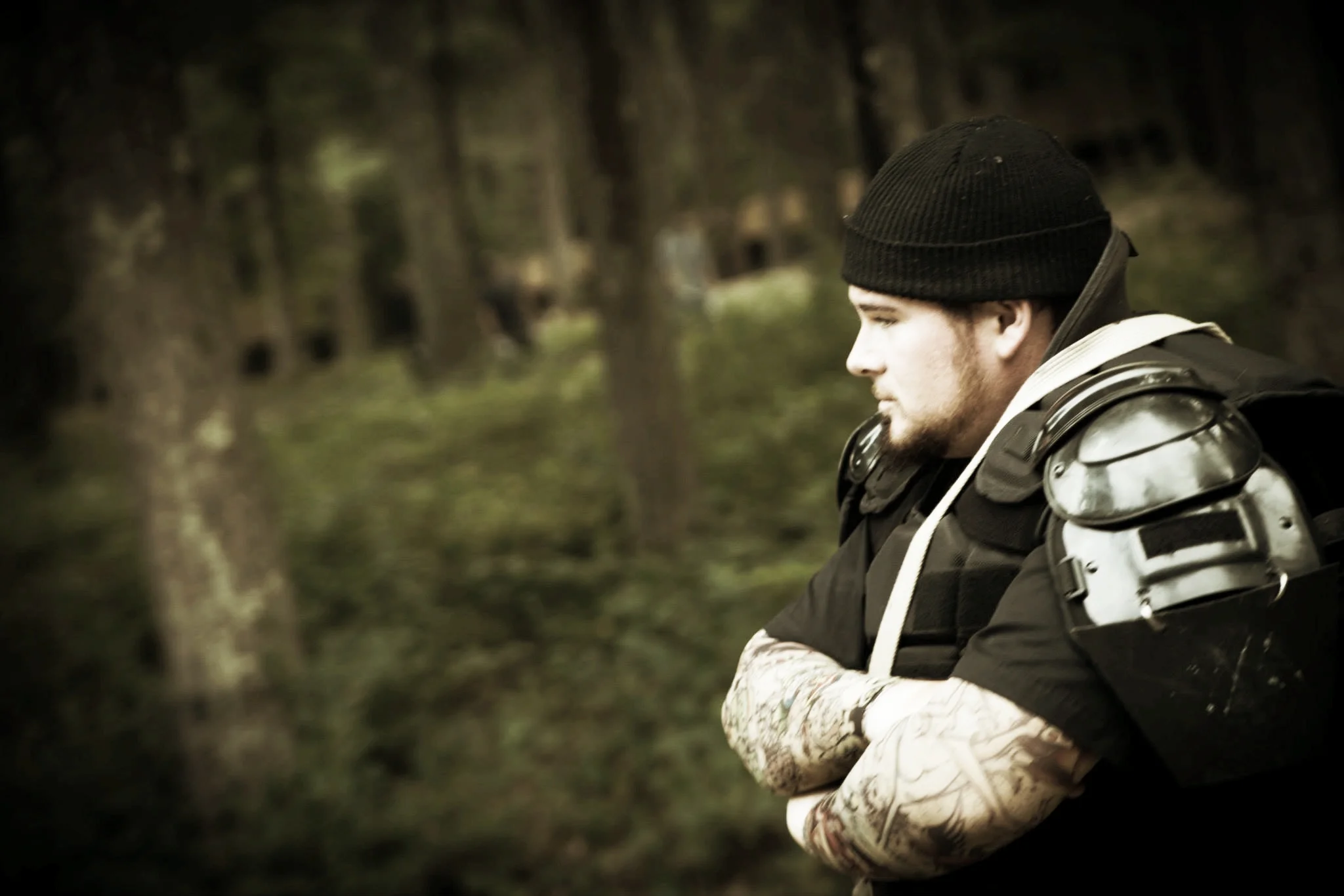 Baywalker in the woods