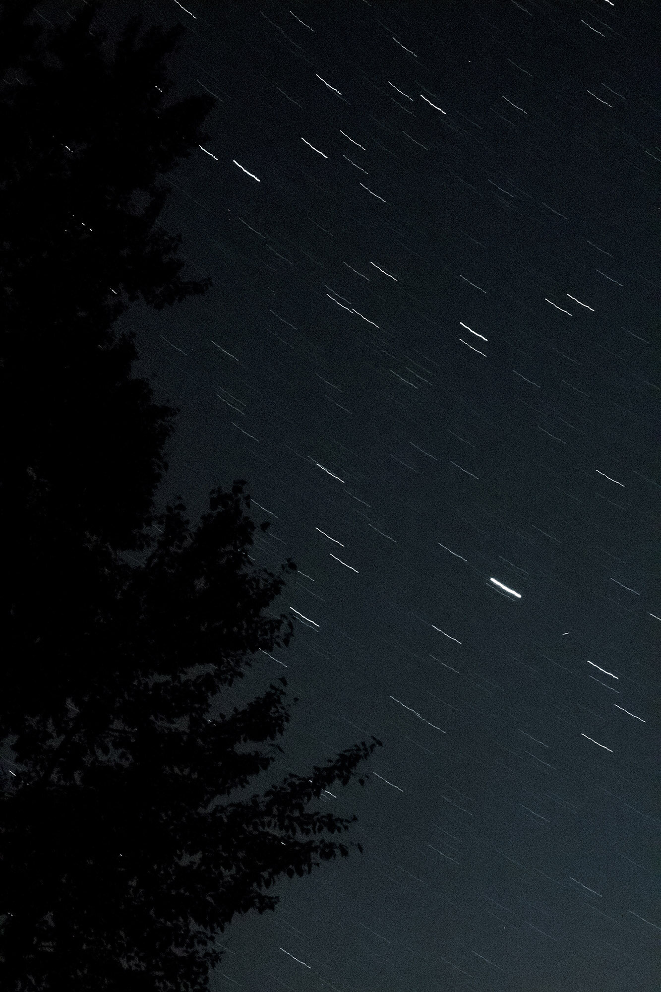 star-gaze-photography-rosslake-bc.jpg