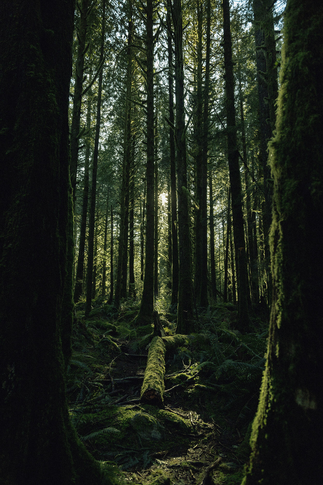  Gold creek, BC 