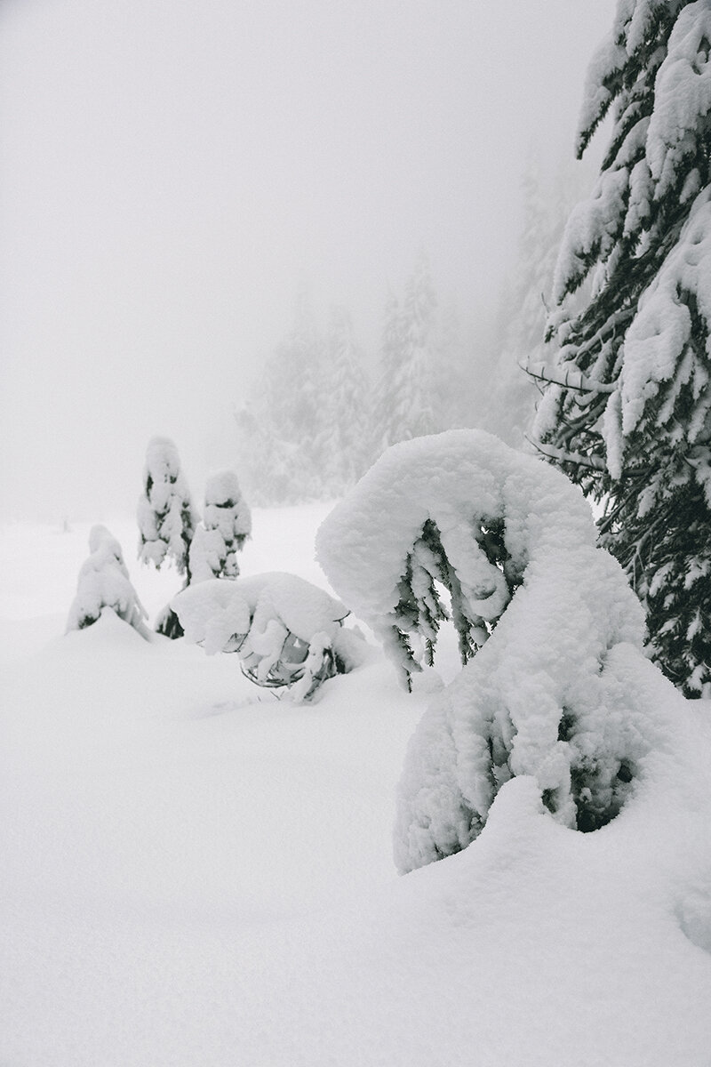 cypress-mountain-snow-trees.jpg