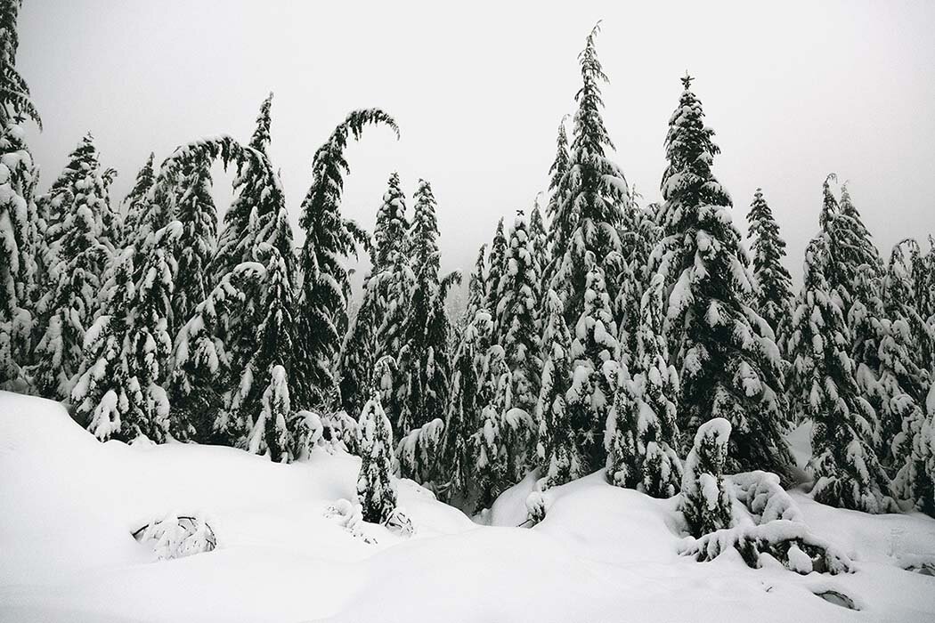 cypress-mountain-snow-vancouver.jpg
