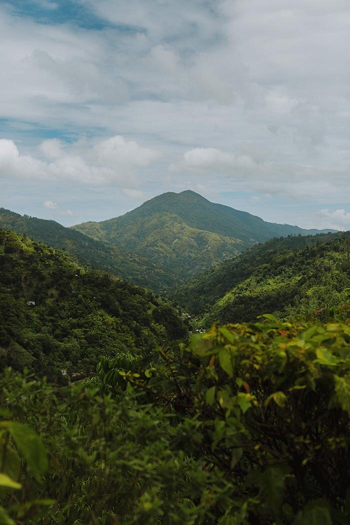 jamaican-mountain-landscape-photography.jpg
