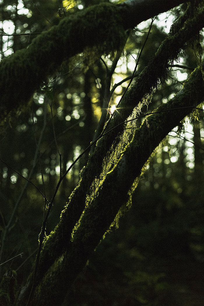 minnekhada-regional-park-bc.jpg