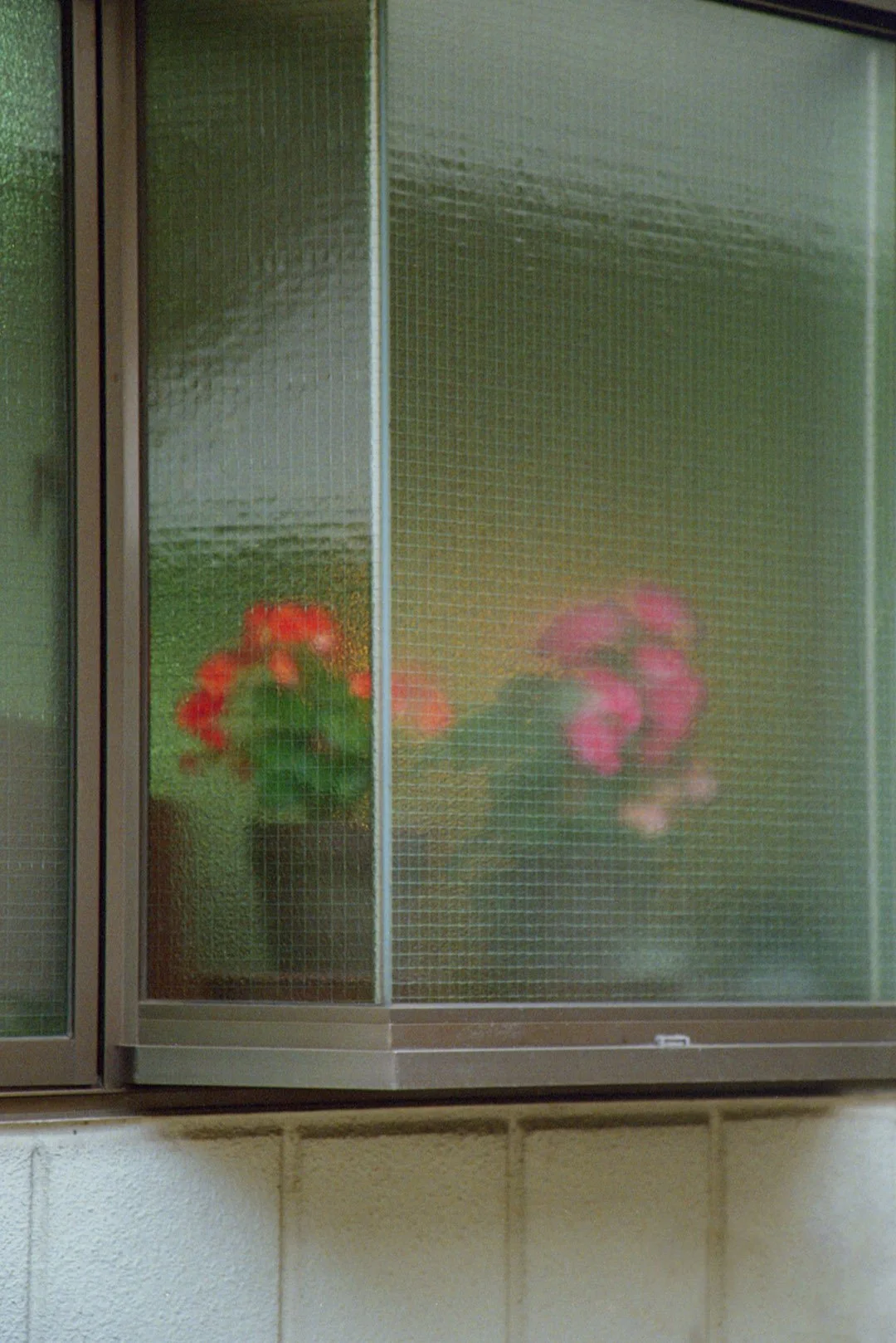flowersbehindglass.jpg