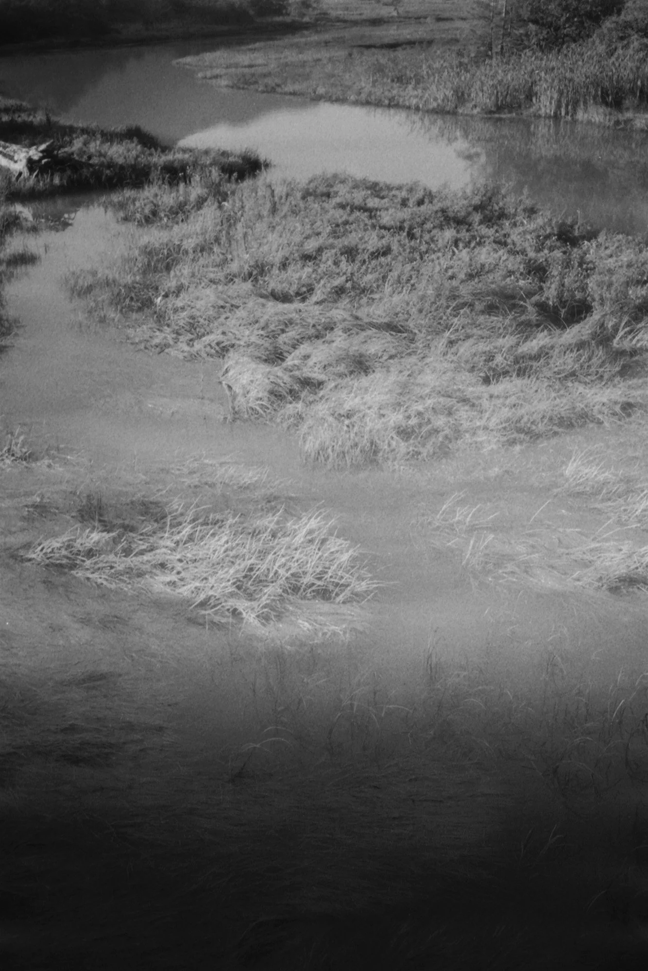 squamishetsuaryinblackandwhite.jpg