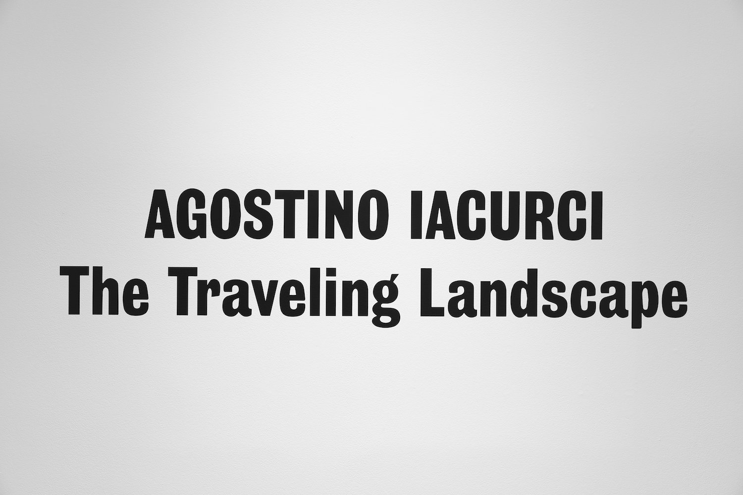 Agostino_Iacurci_The_Travelling_Landscape_PDCG_2023_Photo_Timo_Ohler_01.jpg