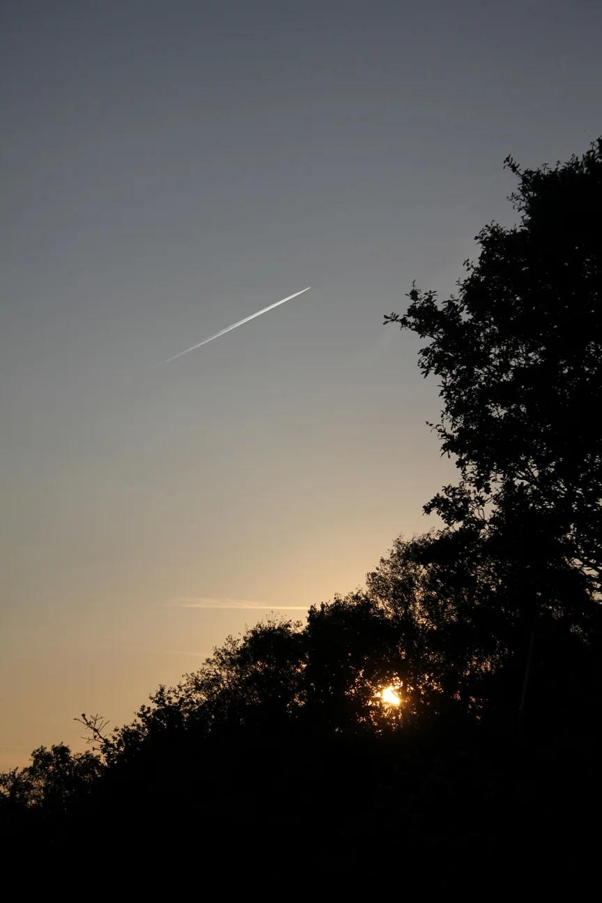 Evening.jpg