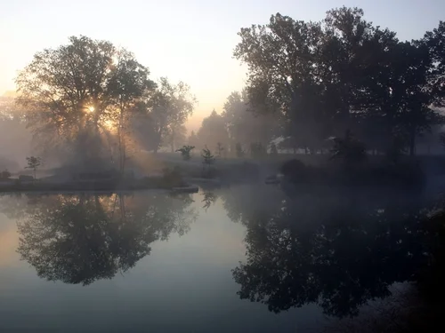 Emerson Commits $5 Million to Forest Park Forever