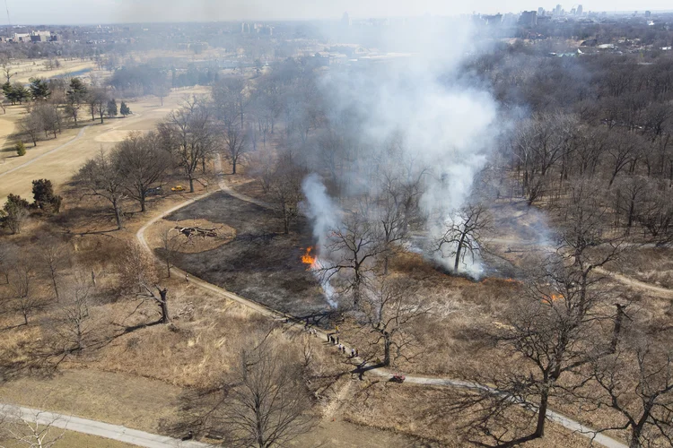 Recap & Interview: March 2014 Forest Park Controlled Burn