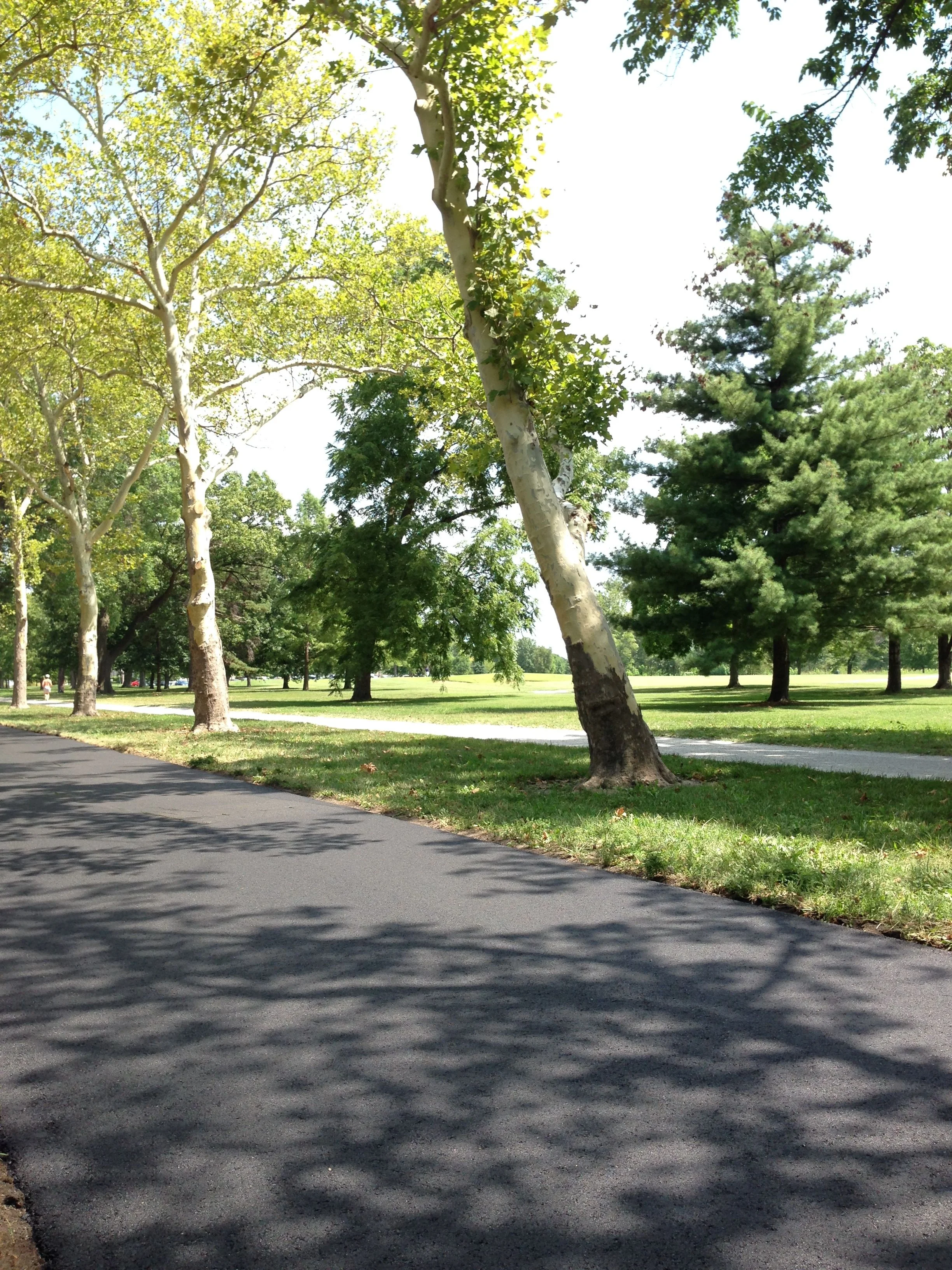 fpf-path-forweb-15.jpg
